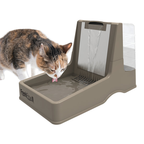 Petmate Fresh Flow II Fountain Elevated Feeder & Reviews Wayfair